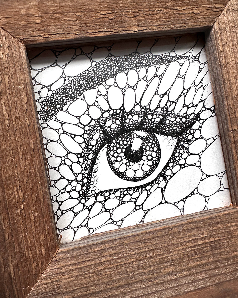 Oval Eye, Ink Drawing in Frame