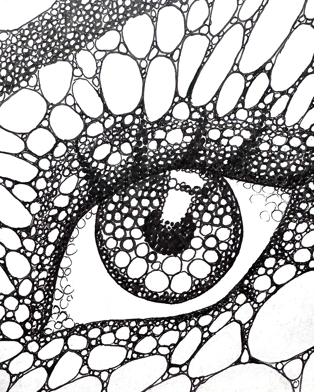 Oval Eye, Ink Drawing in Frame